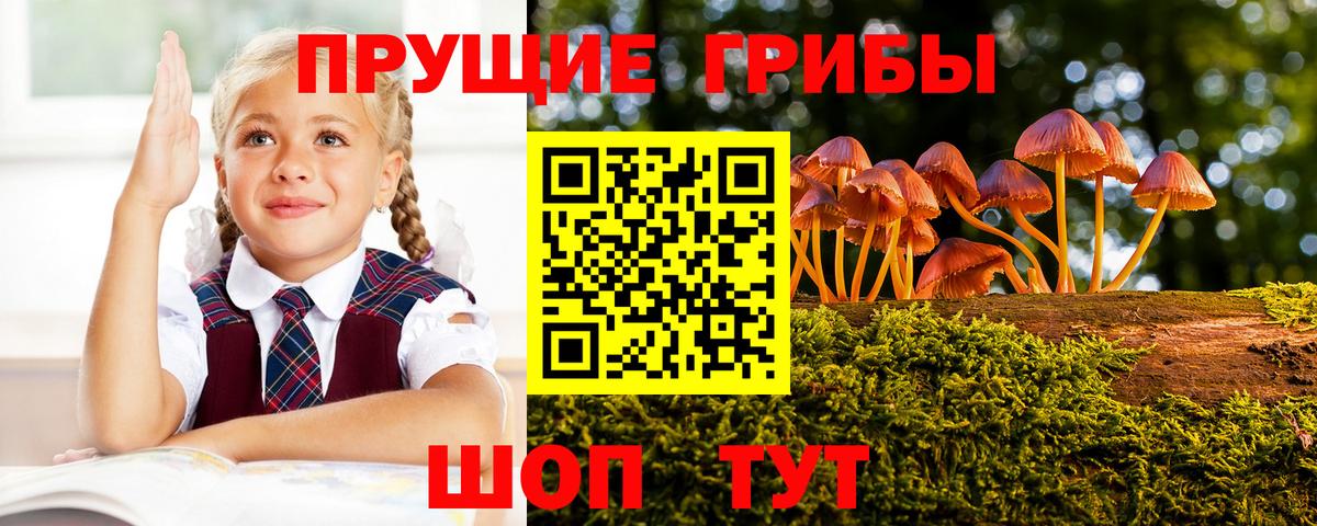 Галлюциногенные грибы Psilocybine cubensis  Вход с VPN  Новочебоксарск  Галлюциногенные грибы Psilocybe 