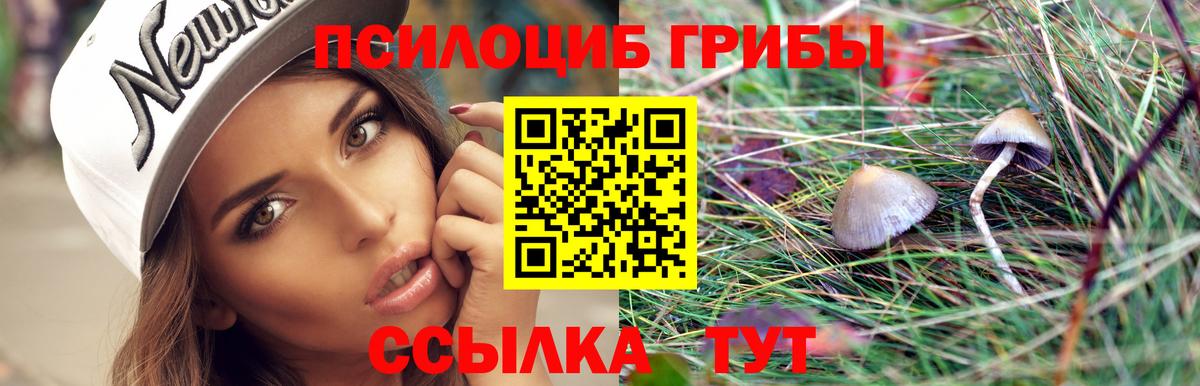 Галлюциногенные грибы Magic Shrooms Новочебоксарск